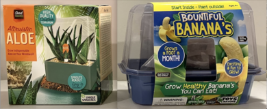 New! Grow Terrarium Kit - Aloe Plant -OR- Banana **$10 per Kit** in Chicago, Illinois