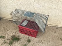 Live animal trap in 29 Palms, California