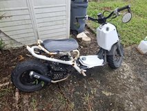 Honda ruckus in Okinawa, Japan