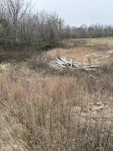 free wood for burning in Fort Leonard Wood, Missouri