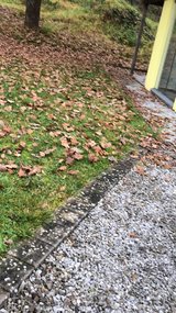 WINTER YARD WORK, LEAVES BLOWING/ REMOVAL, TRASH HAULING ETC. in Ramstein, Germany