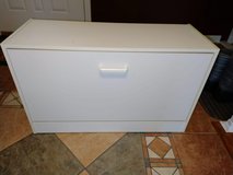 Shoe Cabinet in Orland Park, Illinois