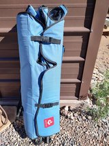 Renetto canopy chair in Alamogordo, New Mexico