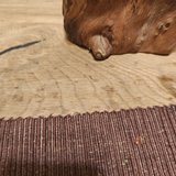 Pine Closets in Ramstein, Germany