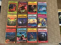 Goosebumps by R. L. Stine - 12 Children's Slightly Scary Chapter Books in Cherry Point, North Carolina
