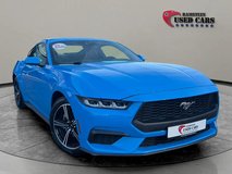 2024 Ford Mustang EcoBoost Premium in Ramstein, Germany