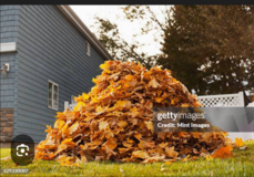 (Leaves) Wanted don't send them to the dump in Alamogordo, New Mexico