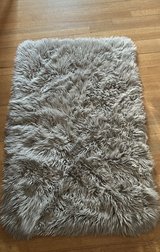 Gray Area Rug in Bartlett, Illinois