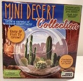 New! Mini Desert - Cactus Succulent Glass Terrarium Starter grow Kit in Chicago, Illinois