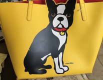 Yellow Tote (Boston terrier) in Alamogordo, New Mexico