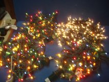 ENJOY THEM ALL YEAR LONG in Yorkville, Illinois