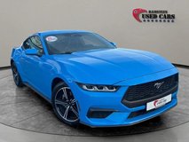 2024 Ford Mustang EcoBoost Premium in Ramstein, Germany