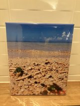 Canvas beach photo in Okinawa, Japan