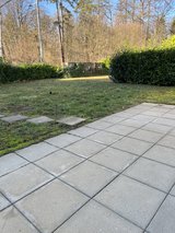 Vaihingen – 2 BR – yard for dog in Stuttgart, GE