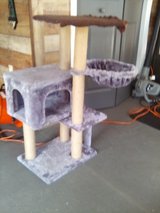 cat tower in Warner Robins, Georgia