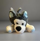 HUSKY PUPPY BLUE PAWS. Plush in Fort Campbell, Kentucky
