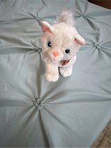 plush soft cat with moveable legs + pink collar with pink bow in Chicago, Illinois