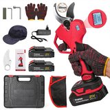 LCD Display Brushless Electric Pruning Shears in Baumholder, GE