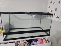 reptile  aquarium in Beaufort, South Carolina