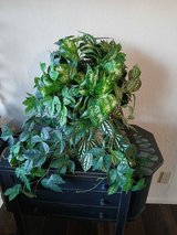 Fake green foliage in a hanging basket in Alamogordo, New Mexico