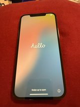 iPhone 12 Pro Max in Stuttgart, GE