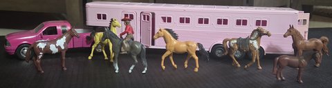 Farm and Barn Animals and Accessories in Alamogordo, New Mexico