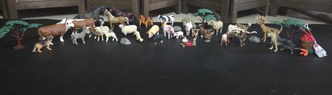 Farm and Barn Animals and Accessories in Alamogordo, New Mexico