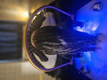 Valentine’s Spa Day in Ramstein, Germany