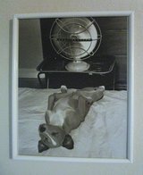 Framed Sleeping Dog Print, 17”x21” in Houston, Texas