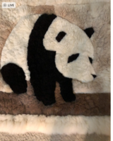 Gorgeous Fur Bear Rug in Aurora, Illinois