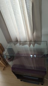 Fish Tank / Terrarium in Okinawa, Japan