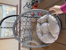 Cat Swing in Alamogordo, New Mexico