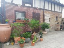 by Jess: furn. 1 BR apt - shortterm or longterm - 11 mi to Clay in Wiesbaden, GE