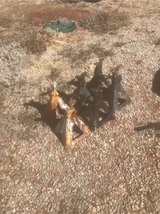 Jack stands in Alamogordo, New Mexico