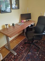 Sitting or Standing Desk in Wiesbaden, GE
