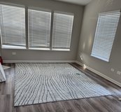 Thick Rug in Batavia, Illinois