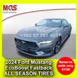 2024 Ford Mustang EcoBoost Fastback in Stuttgart, GE