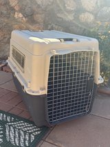 PET CARRIED in Alamogordo, New Mexico