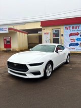BRAND NEW 2026 MUSTANG ECOBOOST FASTBACK in Baumholder, GE