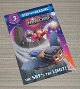 Minecraft Step into Reading the Sky's the Limit Book in Yorkville, Illinois