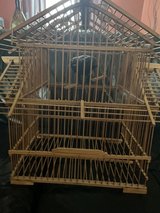 Fake Bird In Cage in Plainfield, Illinois