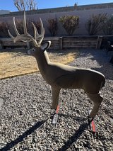 3D Archery Target in Alamogordo, New Mexico