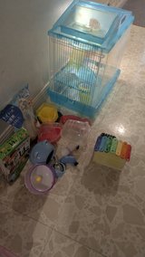 hamster cage in Okinawa, Japan