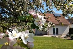 house freestanding with yard in Ramstein, Germany