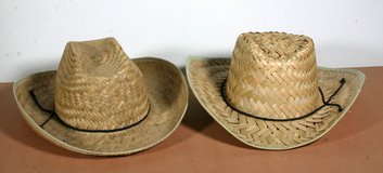 Straw Cowboy Hats in Chicago, Illinois