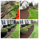 GENERAL LANDSCAPING & TREE SERVICES in Bolingbrook, Illinois