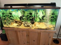 125gal Glass Tank Stand - Stand Only in Kingwood, Texas