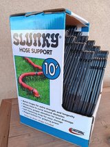 Sewer hose centipede in Alamogordo, New Mexico