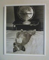Framed Sleeping Dog Print, 17”x21” in Houston, Texas
