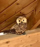 Owl  Made from all natural materials in Ramstein, Germany